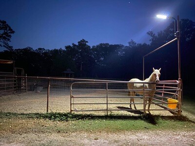Ranch Hand 500w Outbuilding/Retro Fit Solar Lighting System