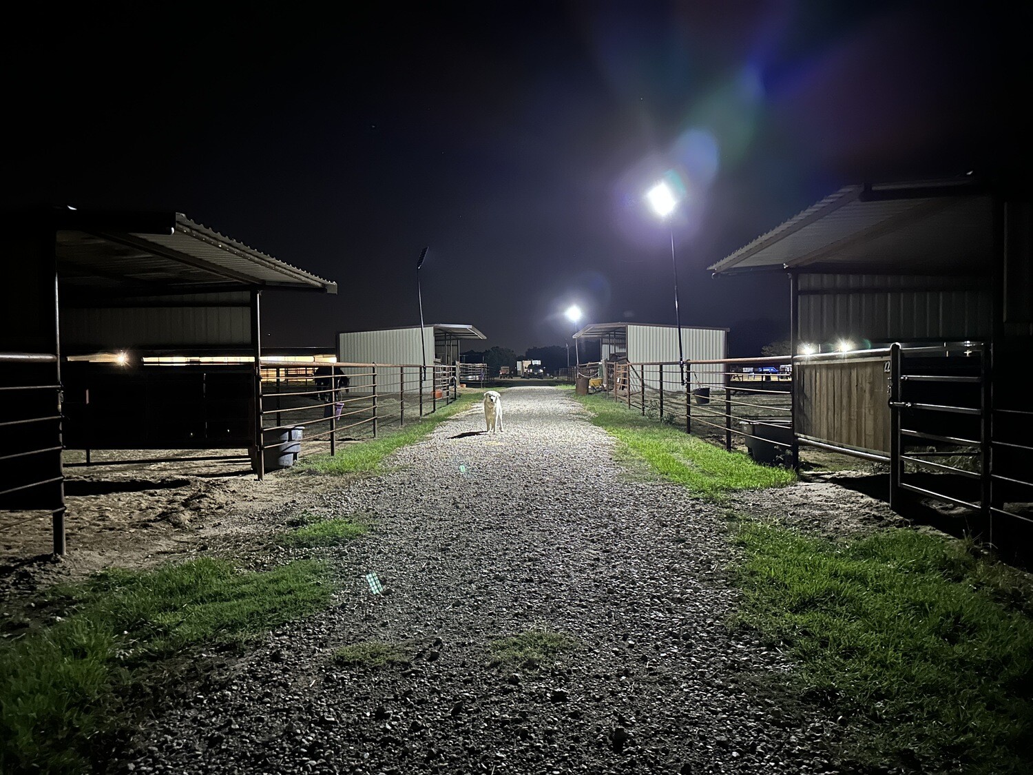 Ranch Hand 500w Fence Mount Solar Lighting System