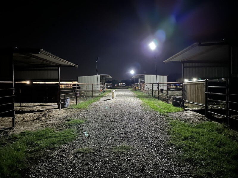 Ranch Hand 500w Fence Mount Solar Lighting System