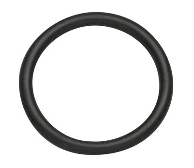 RIB27 - O Ring