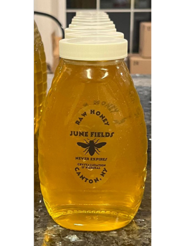Honey 16oz (3 pack)