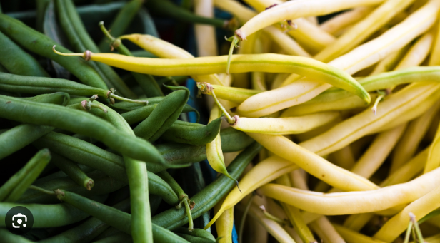 Beans (Green + Yellow)