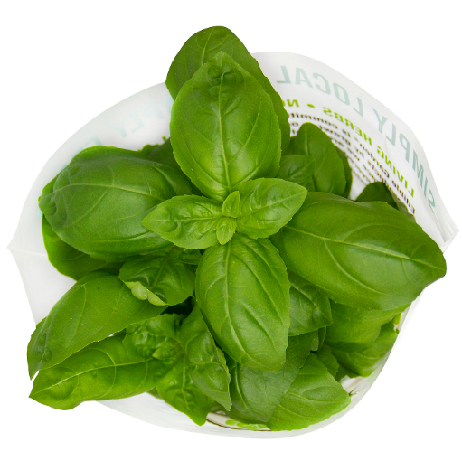 Basil