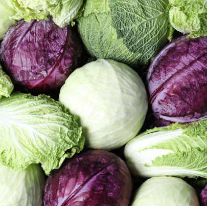 Cabbage (Green + Red)