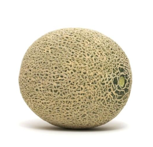 Cantaloupe