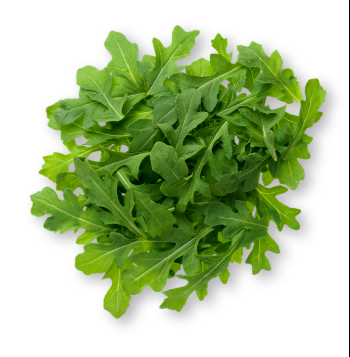 Greenhouse Arugula