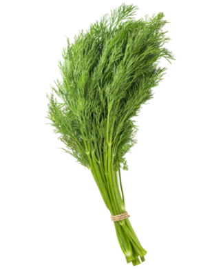 Dill