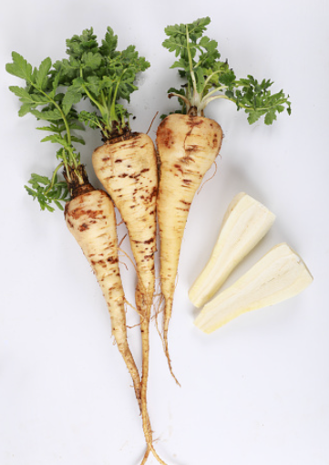Parsnip
