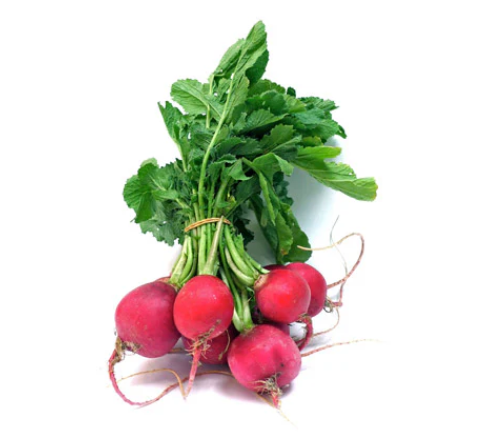 Radishes