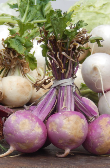 Rutabaga