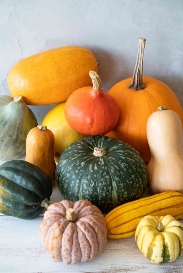 Winter Squash