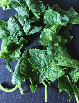 Spinach Overwintered