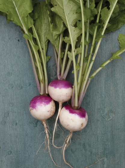 Turnips