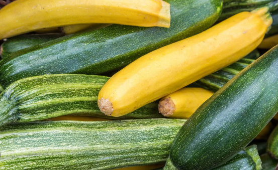 Zucchini + Yellow Squash
