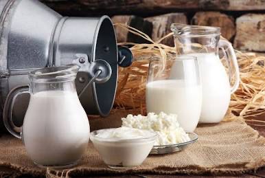 Dairy 