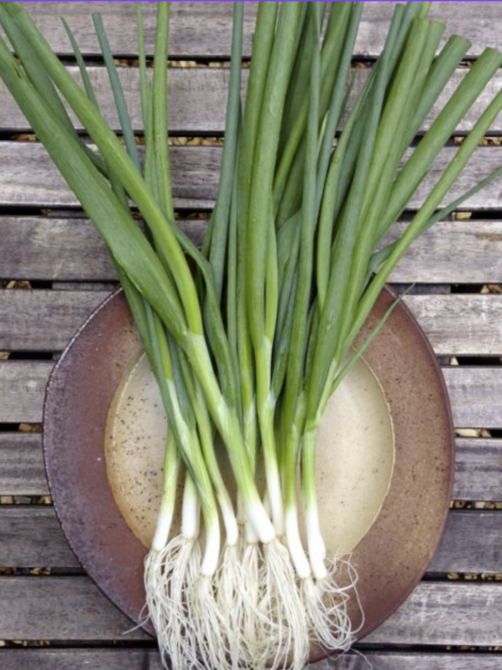 Garlic Scallions