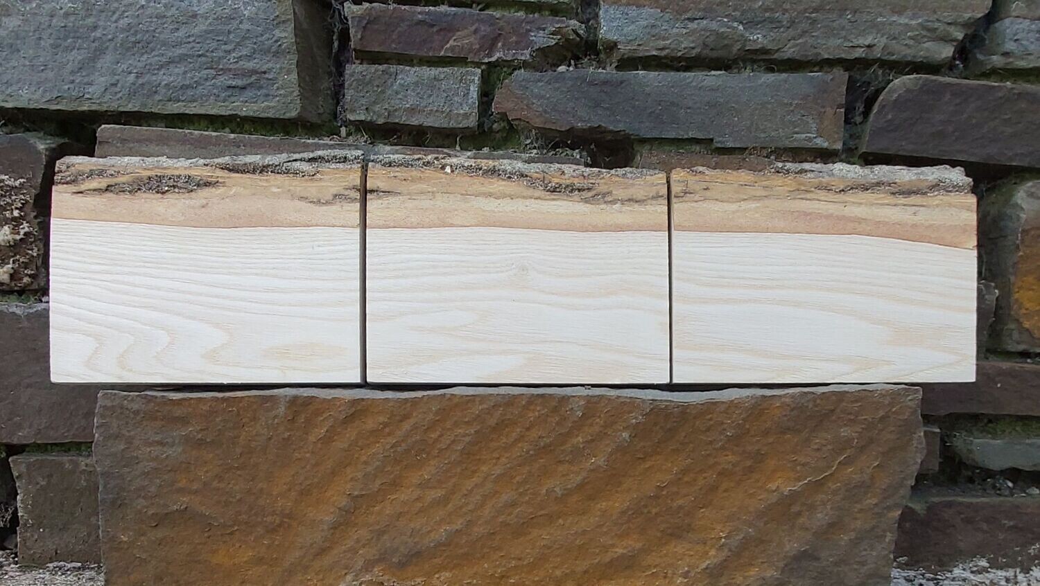 Triptych of ash wood pyrography blanks
