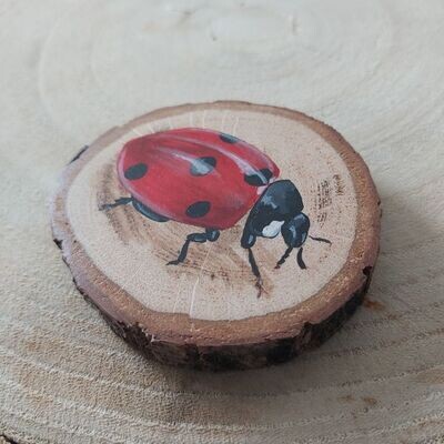 Ladybird miniature painting