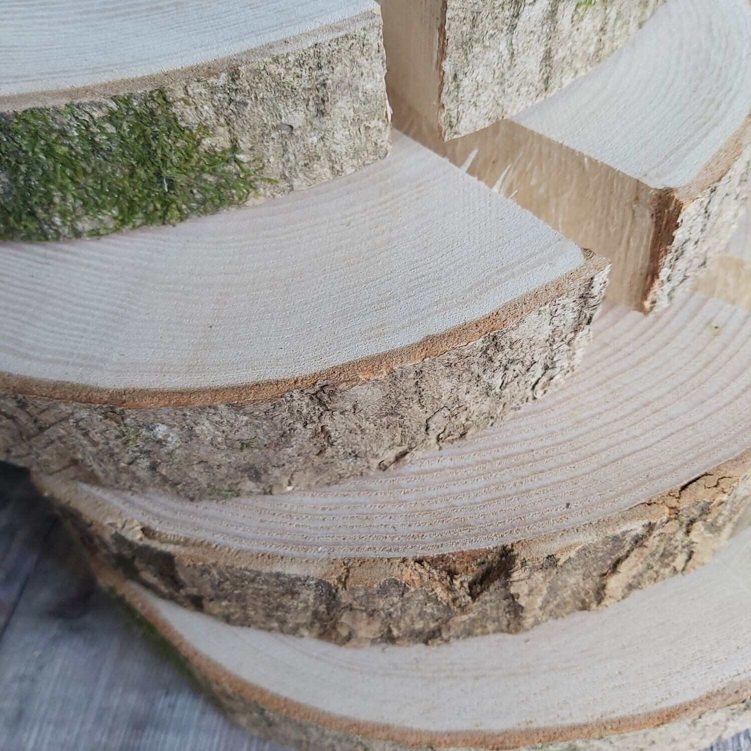 Large wood slices for crafts