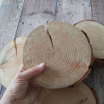 Large chunky wood slices