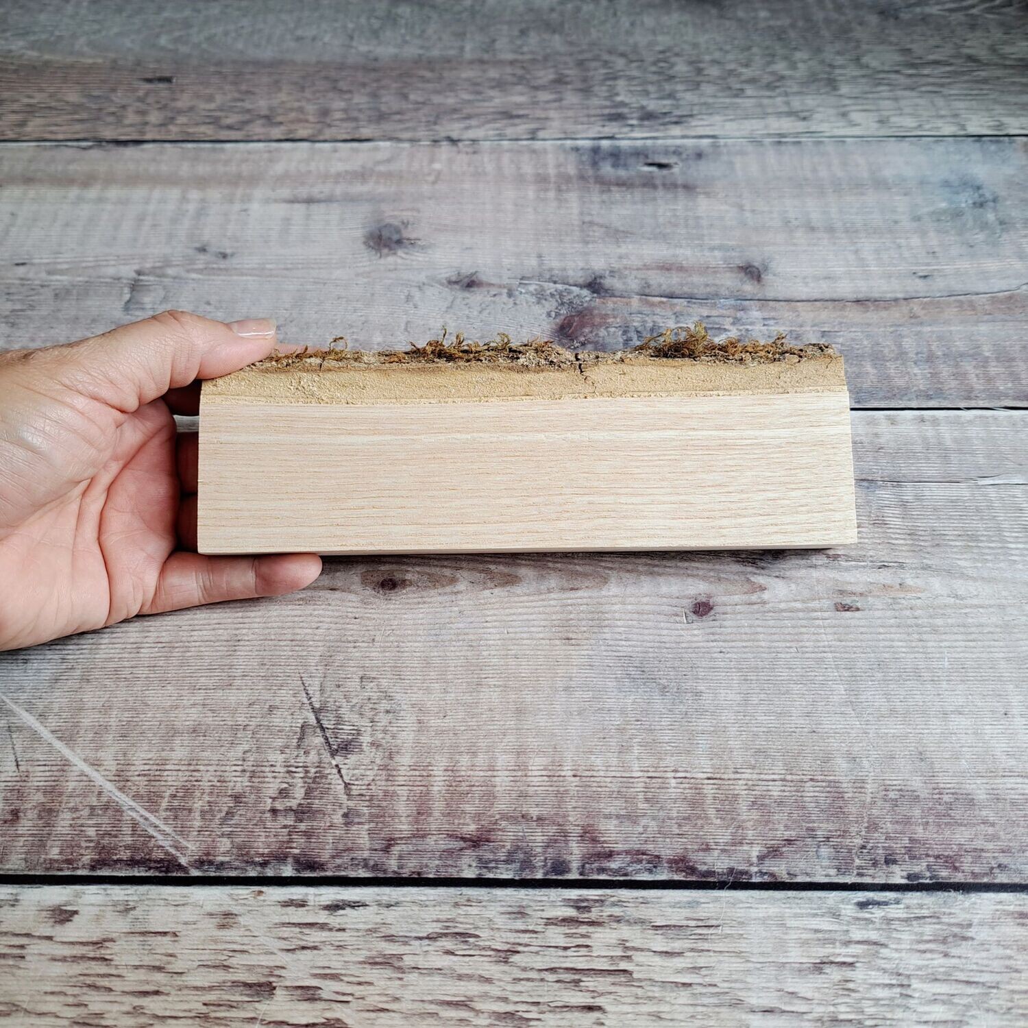 Small narrow oak blank