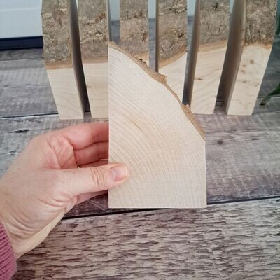 Curved sycamore blank