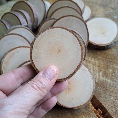 6cm - 7cm wood slices