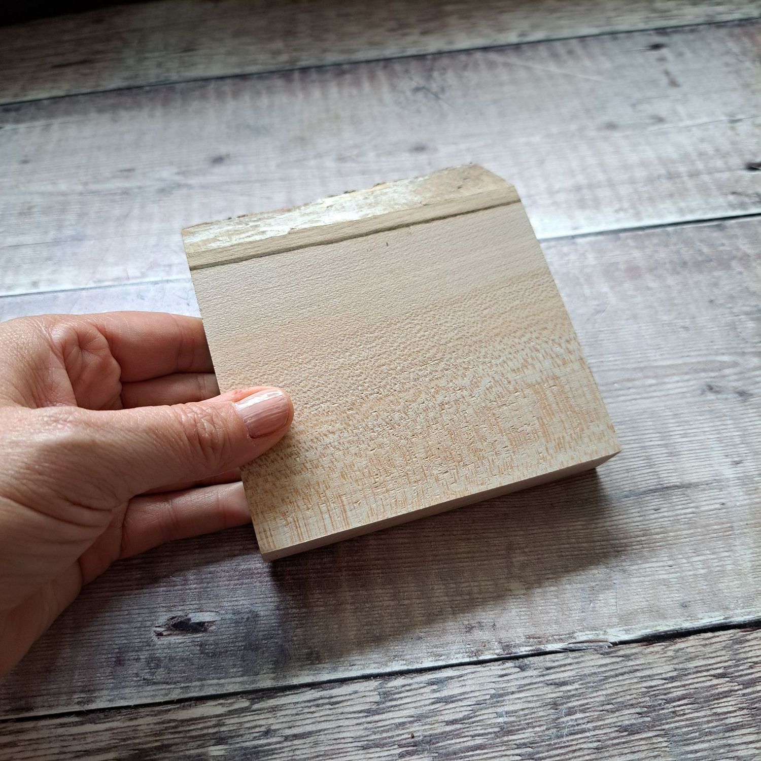 Small sycamore blank with natural edge