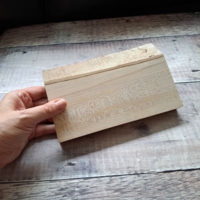 20cm wide Sycamore blank