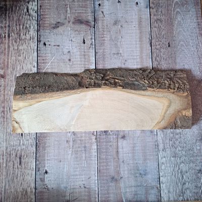 47cm wide rustic wood blank