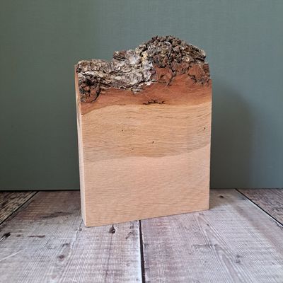 Oak pyro blank with chunky bark