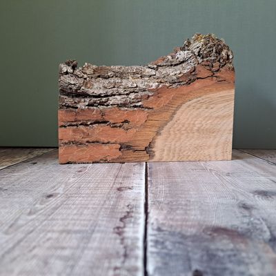 Oak pyro blank with bark