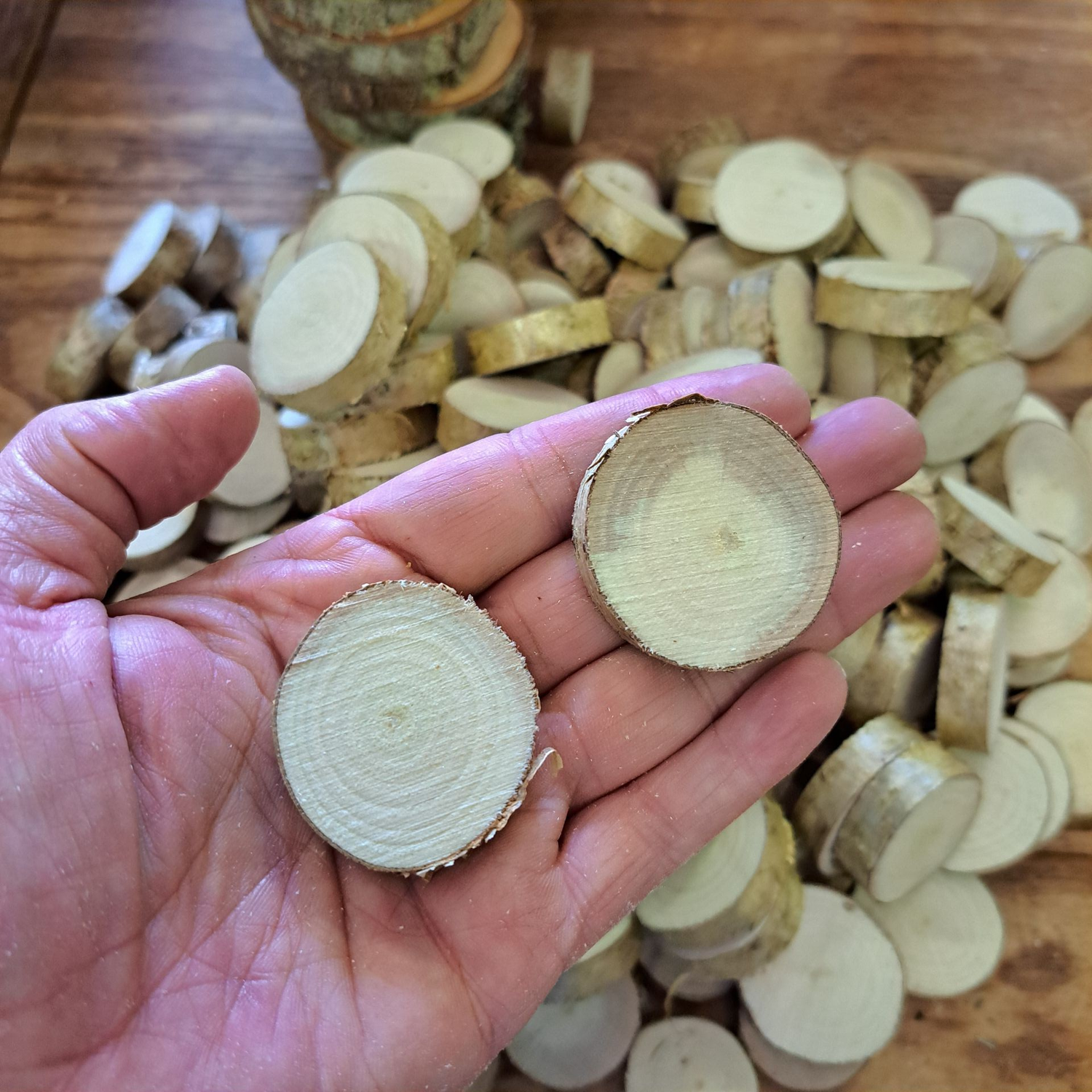 3cm - 4cm hazel wood slices