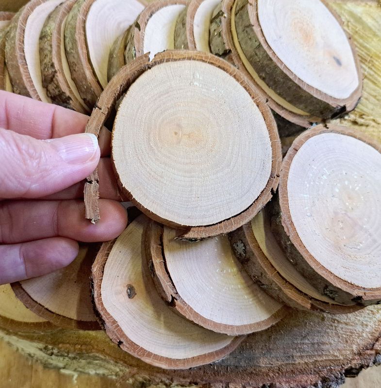 SECONDS - 6cm - 7cm wood slices