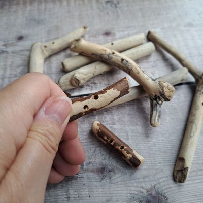 Set of 19 thin driftwood buttons