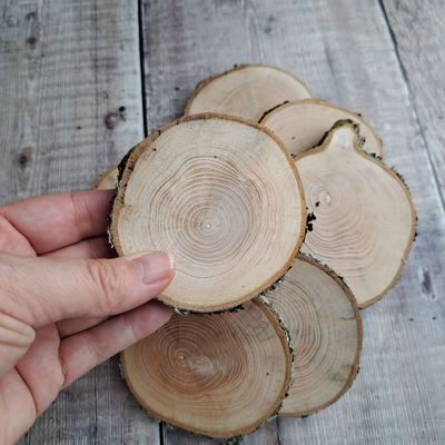 7-8cm ash wood slices