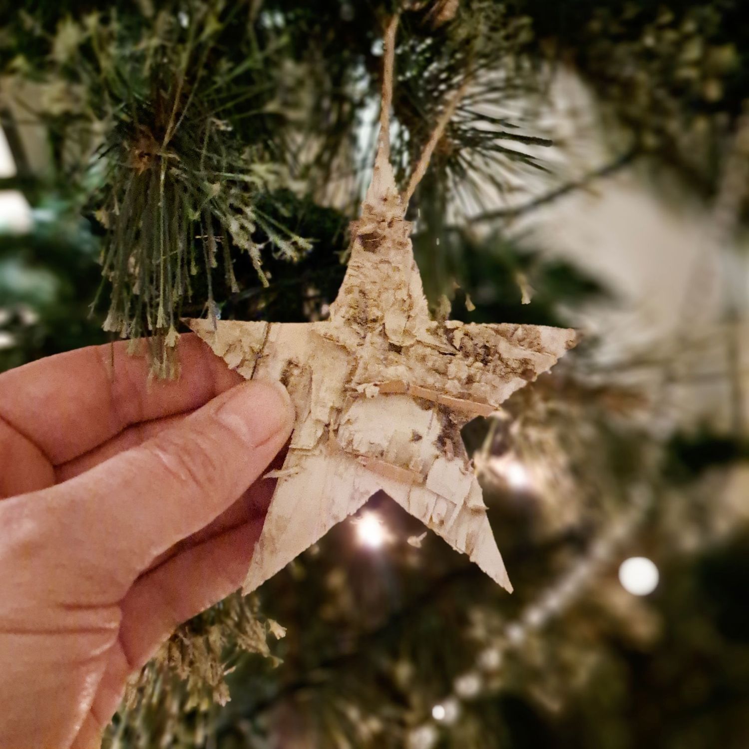 Set of 4 birch bark star Christmas decorations