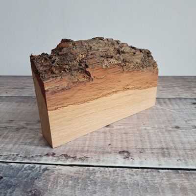 17cm oak blank with bark