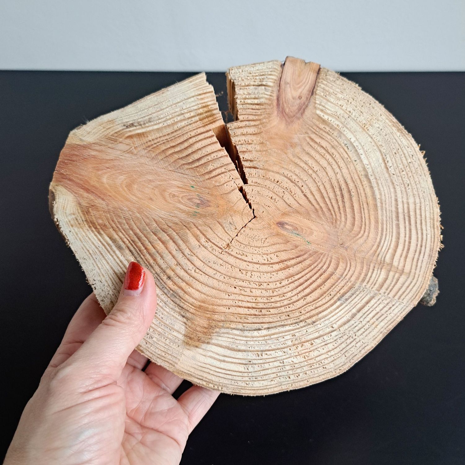 Larch wood slices