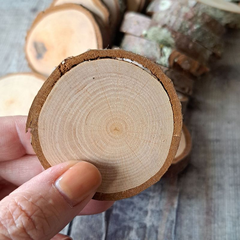 4cm - 5cm alder wood slices