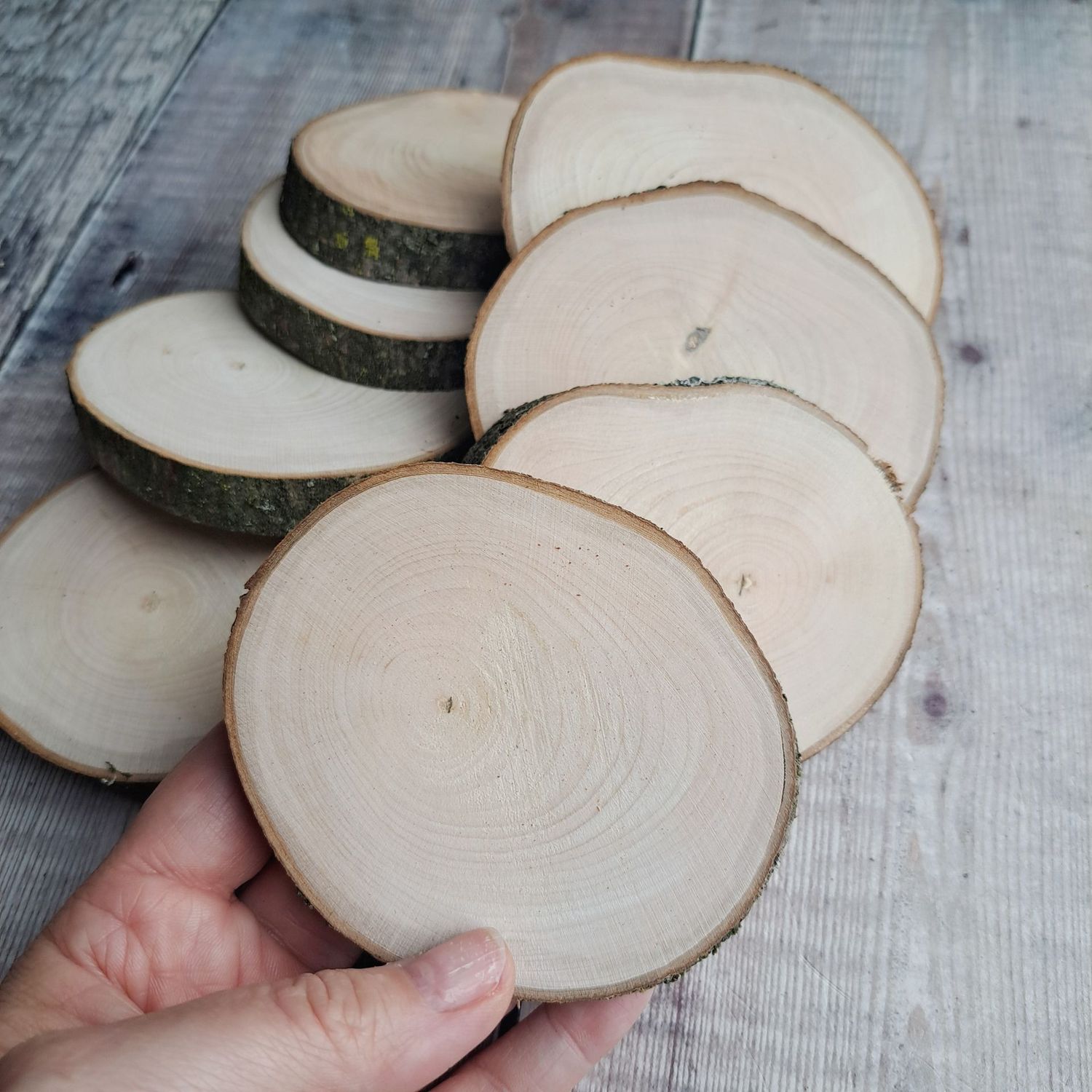 9cm maple wood slices