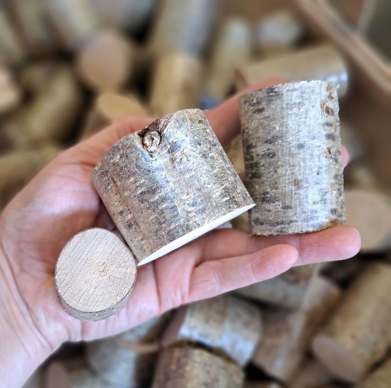 Bulk 100 mini logs