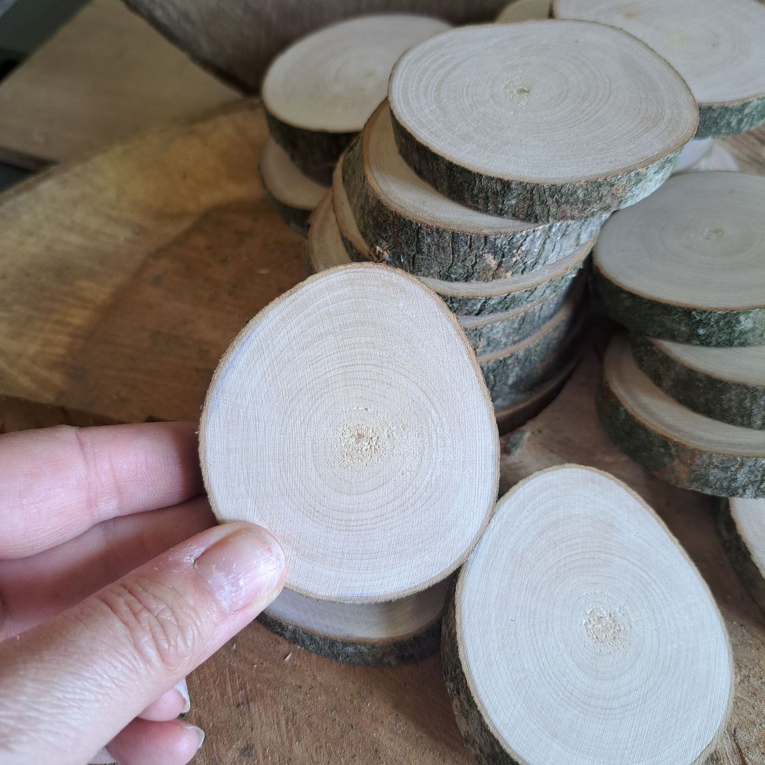6cm - 7cm maple wood slices