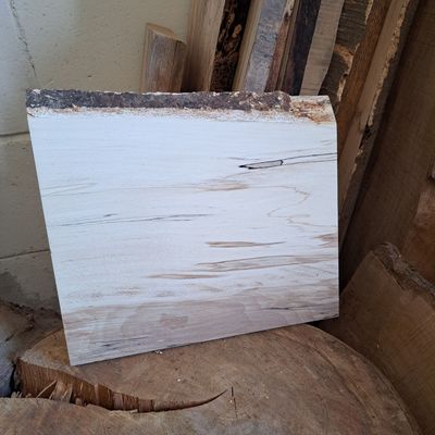 Spalted beech wood blank