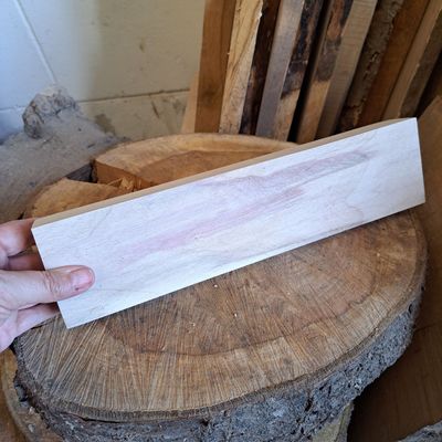 31cm wide poplar wood blank