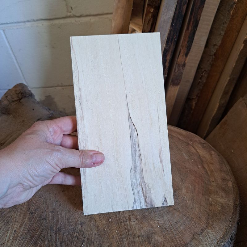 22cm tall spalted beech blank