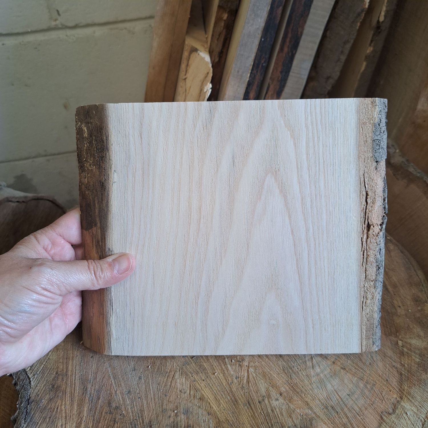 18cm tall ash blank