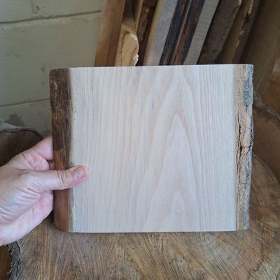 18cm tall ash blank