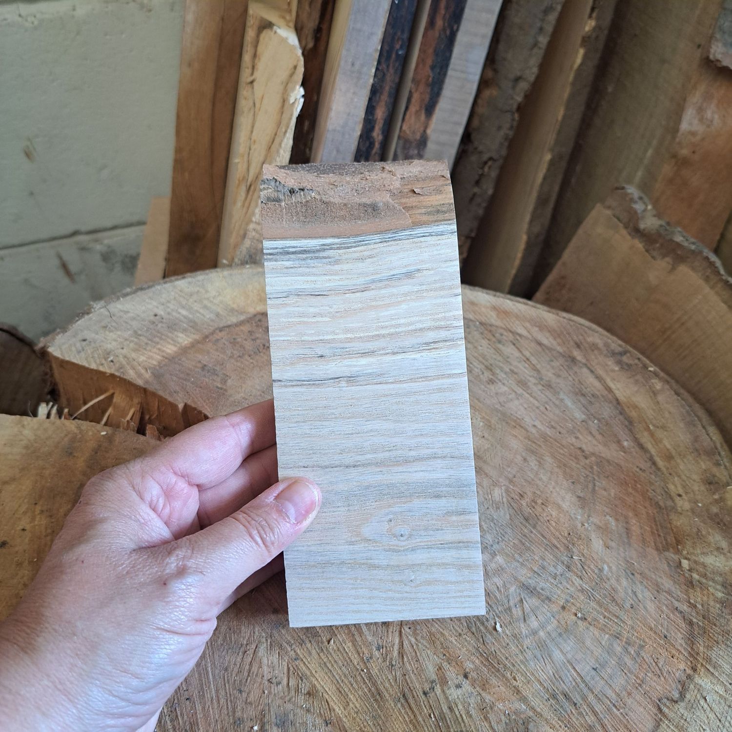 18cm tall ash wood blank