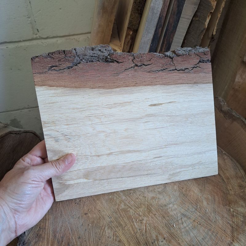 20cm oak wood pyro blank